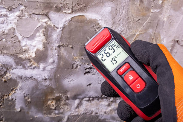 Trusted Hughesville, PA Mold Removal Experts