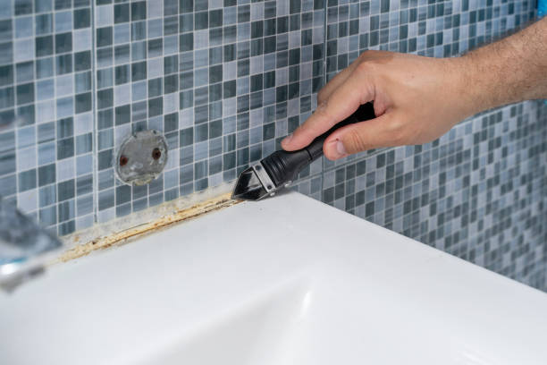 Best Residential Mold Removal  in Hughesville, PA