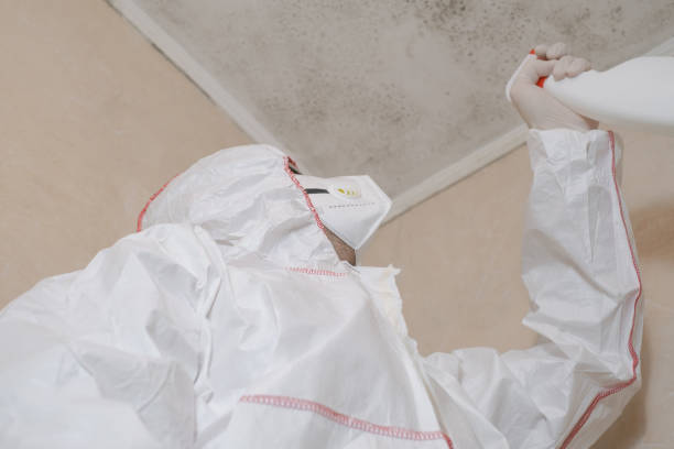 Water Damage Restoration in Hughesville, PA