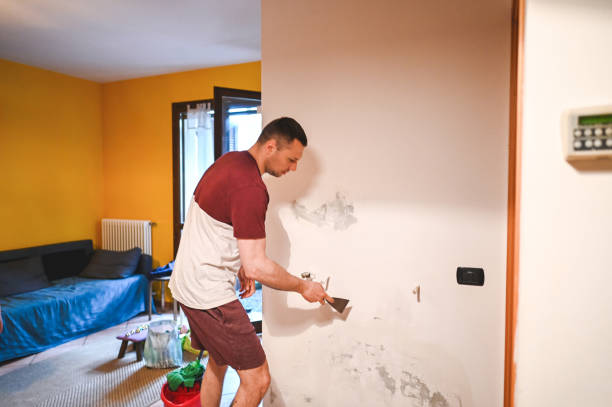 Best Mold Remediation  in Hughesville, PA